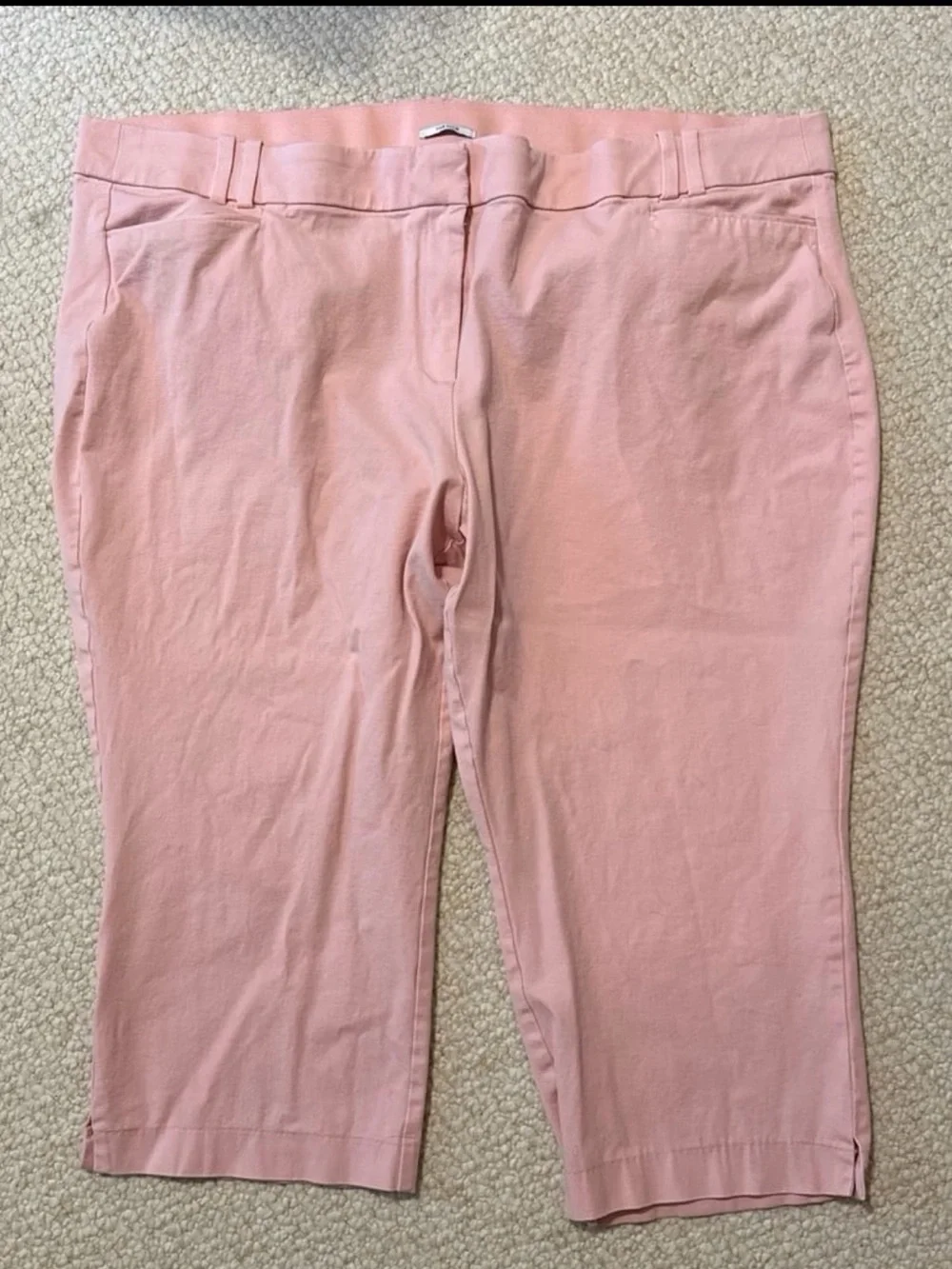 Lane Bryant new worn